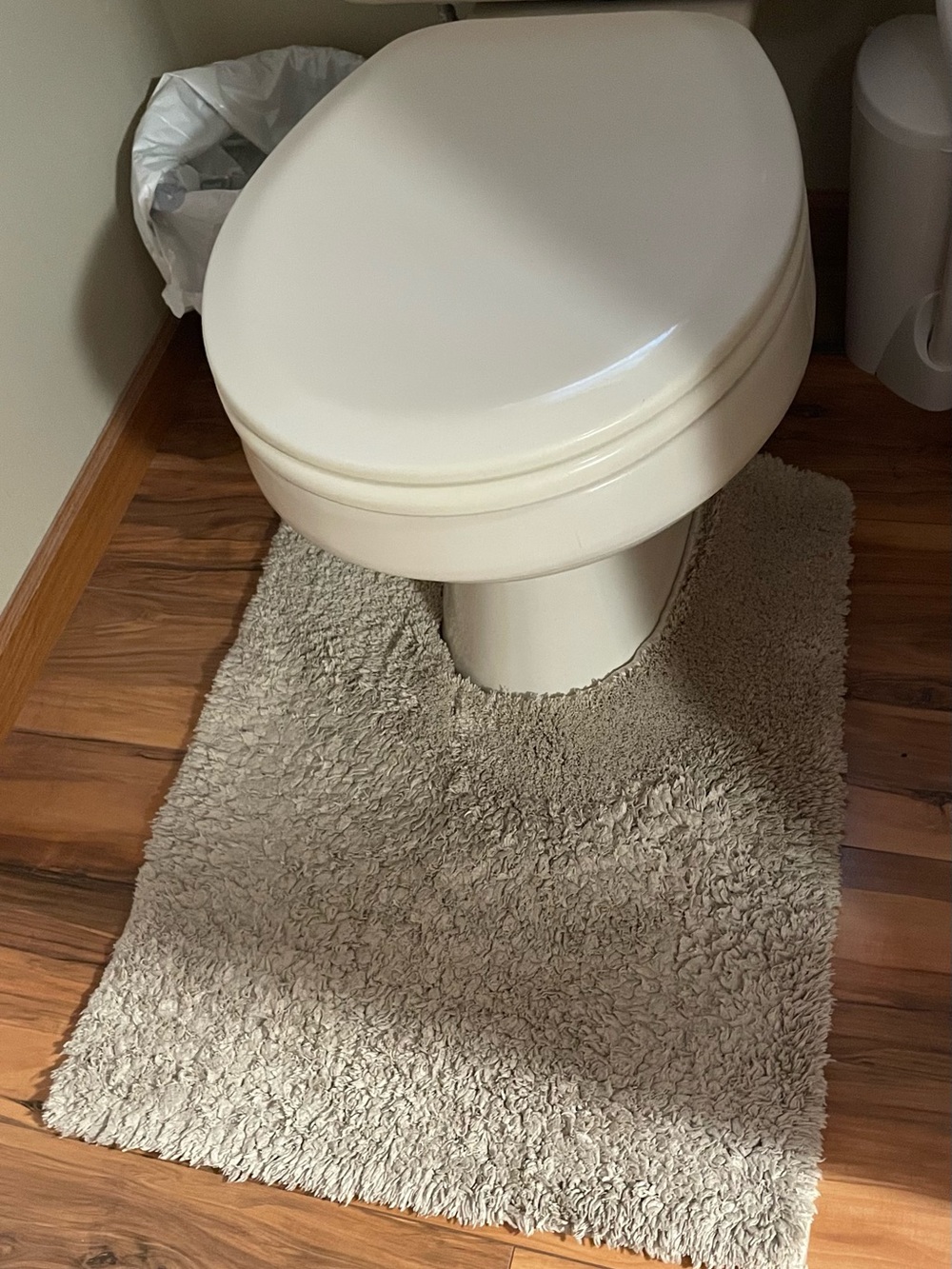 Neutral Beige Bath Rug for Toilet Base - Plush Shag Accent